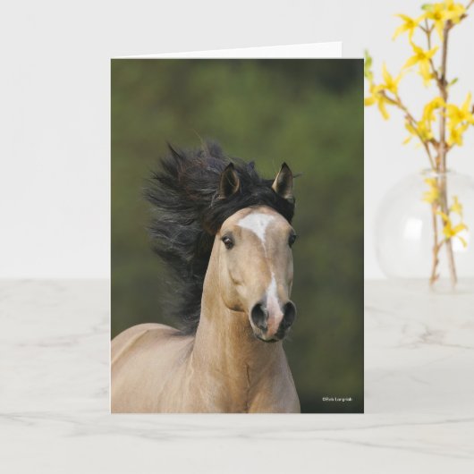 Bob Langrish | Buckskin Welsh Pony Headshot Karte (Gelbe Blume)