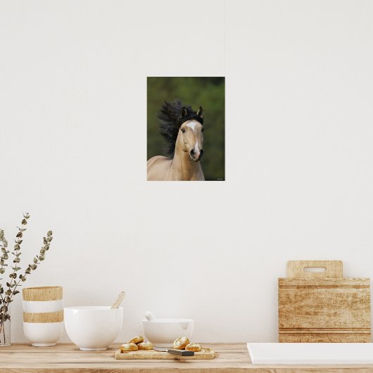 Bob Langrish | Buckskin Welsh Pony Headshot Poster (Küche)