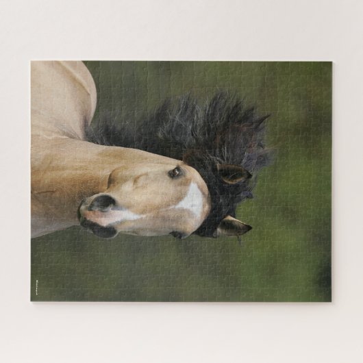 Bob Langrish | Buckskin Welsh Pony Headshot Puzzle (Horizontal)