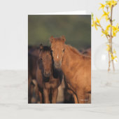Bob Langrish Caspian Pony Foals Stehend zusammen Karte (Gelbe Blume)