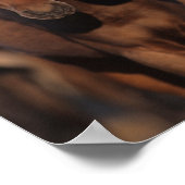 Bob Langrish Caspian Pony Foals Stehend zusammen Poster (Ecke)