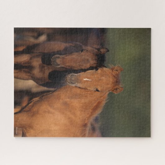 Bob Langrish Caspian Pony Foals Stehend zusammen Puzzle (Horizontal)