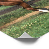 Bob Langrish | Chestnut Arab Stallion Rearing Poster (Ecke)