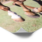 Bob Langrish | Chestnut Tennessee Walker Running Poster (Ecke)