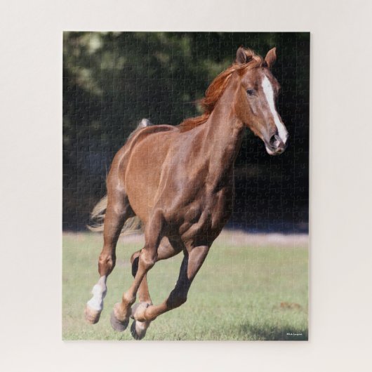 Bob Langrish | Chestnut Tennessee Walker Running Puzzle (Vertikal)