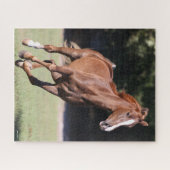 Bob Langrish | Chestnut Tennessee Walker Running Puzzle (Horizontal)