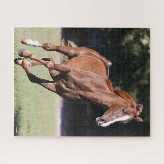 Bob Langrish | Chestnut Tennessee Walker Running Puzzle (Horizontal)