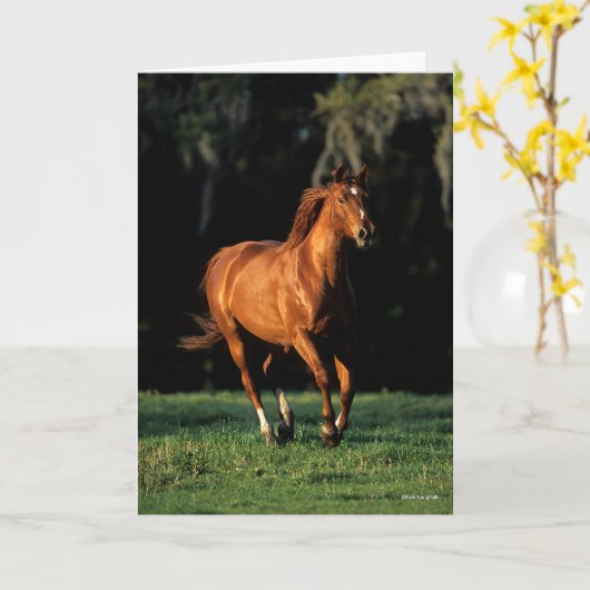 Bob Langrish | Chestnut Warmblood Mare Running Karte (Gelbe Blume)