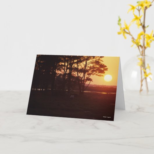Bob Langrish | Chincoteague Grazing Sunset Karte (Gelbe Blume)