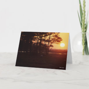Bob Langrish   Chincoteague Grazing Sunset Karte