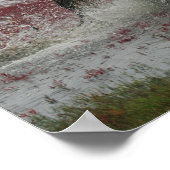 Bob Langrish | Chincoteague Horning in water Poster (Ecke)