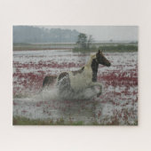 Bob Langrish | Chincoteague Horning in water Puzzle (Horizontal)