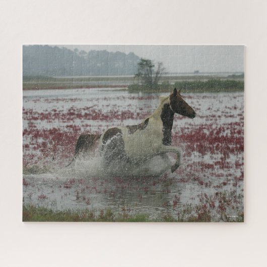 Bob Langrish | Chincoteague Horning in water Puzzle (Horizontal)
