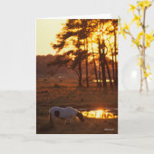 Bob Langrish Chincoteague Horzing Karte (Gelbe Blume)