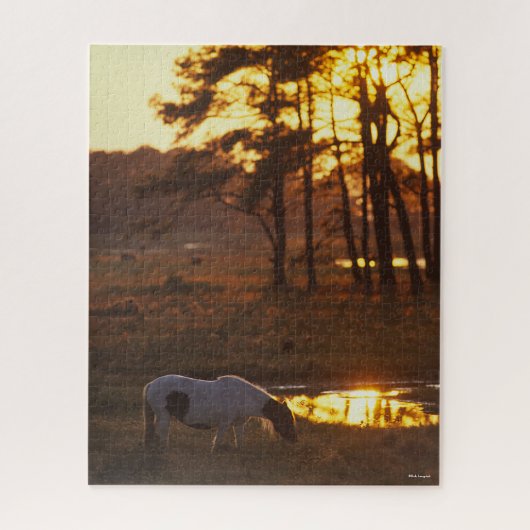 Bob Langrish Chincoteague Horzing Puzzle (Vertikal)