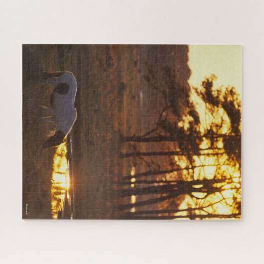 Bob Langrish Chincoteague Horzing Puzzle (Horizontal)