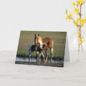 Bob Langrish | Chincoteague Mare and Foal Stehend Karte (Gelbe Blume)
