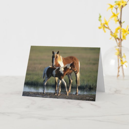 Bob Langrish | Chincoteague Mare and Foal Stehend Karte (Gelbe Blume)
