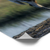 Bob Langrish | Chincoteague Mare and Foal Stehend Poster (Ecke)