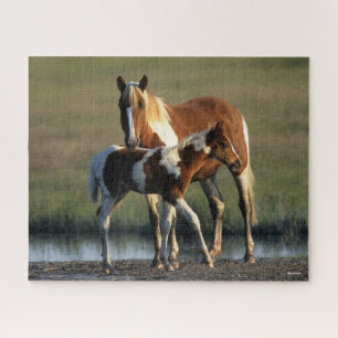 Bob Langrish   Chincoteague Mare and Foal Stehend Puzzle