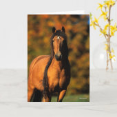 Bob Langrish | Chocktaw Pony Stehend Headshot Karte (Gelbe Blume)