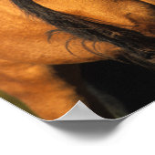 Bob Langrish | Chocktaw Pony Stehend Headshot Poster (Ecke)