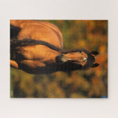 Bob Langrish | Chocktaw Pony Stehend Headshot Puzzle (Horizontal)