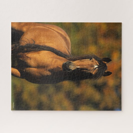 Bob Langrish | Chocktaw Pony Stehend Headshot Puzzle (Horizontal)