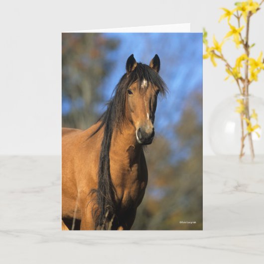 Bob Langrish | Choctaw Pony Headshot Karte (Gelbe Blume)