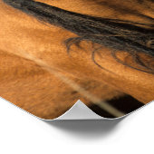 Bob Langrish | Choctaw Pony Headshot Poster (Ecke)