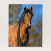 Bob Langrish | Choctaw Pony Headshot Puzzle (Vertikal)