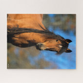Bob Langrish | Choctaw Pony Headshot Puzzle (Horizontal)