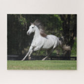 Bob Langrish | Daple Gray Andalucian Running Puzzle (Horizontal)