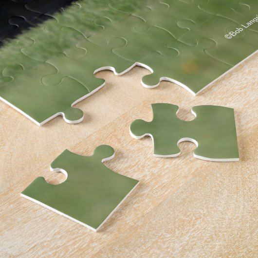 Bob Langrish | Daple Gray Andalucian Running Puzzle (Seite)