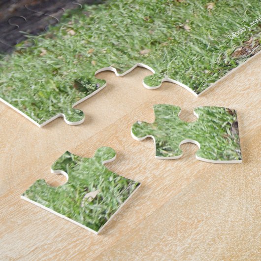 Bob Langrish | Daple Gray Lusitano Stallion Puzzle (Seite)