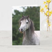 Bob Langrish | Dapple Gray Welsh Pony Headshot Karte (Gelbe Blume)