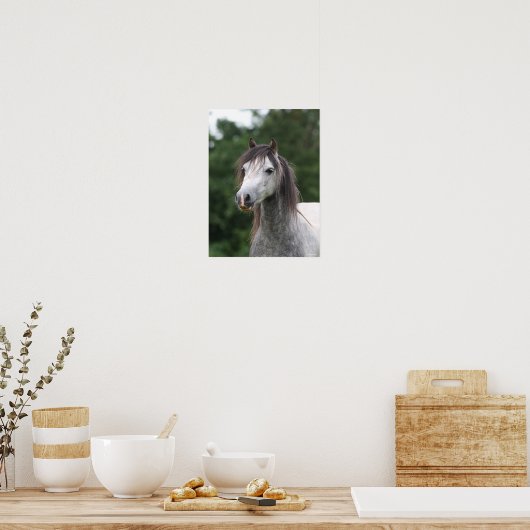 Bob Langrish | Dapple Gray Welsh Pony Headshot Poster (Küche)