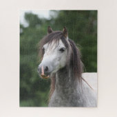 Bob Langrish | Dapple Gray Welsh Pony Headshot Puzzle (Vertikal)