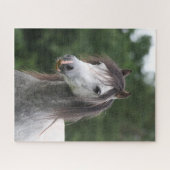 Bob Langrish | Dapple Gray Welsh Pony Headshot Puzzle (Horizontal)