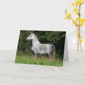 Bob Langrish | Dapple Gray Welsh Pony Stehend Karte (Gelbe Blume)