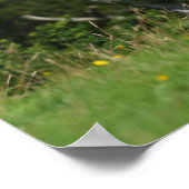 Bob Langrish | Dapple Gray Welsh Pony Stehend Poster (Ecke)