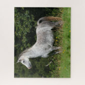 Bob Langrish | Dapple Gray Welsh Pony Stehend Puzzle (Vertikal)