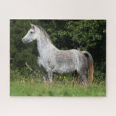 Bob Langrish | Dapple Gray Welsh Pony Stehend Puzzle (Horizontal)