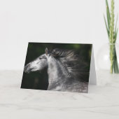 Bob Langrish | Dapple Grey Andalucian headshot Karte (Vorderseite)