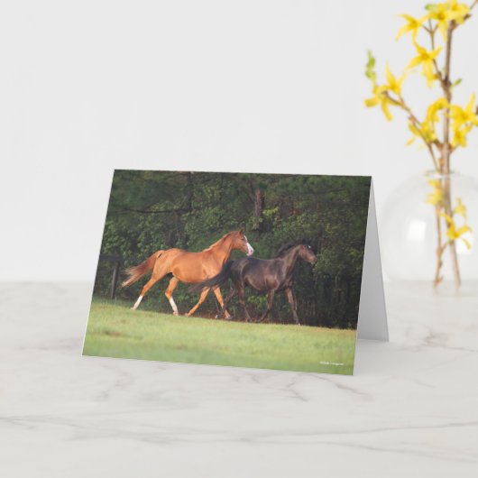 Bob Langrish | Deutsches Reitpony und Oldenburg Karte (Gelbe Blume)