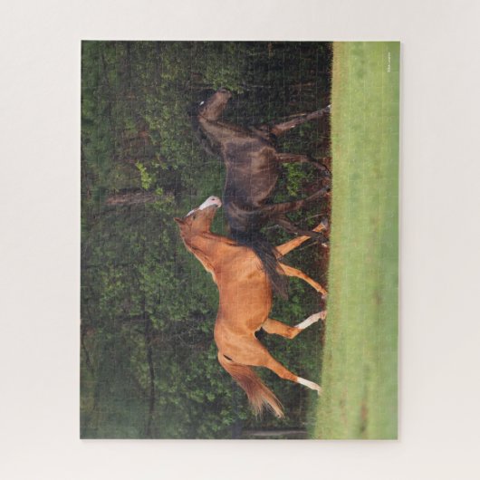 Bob Langrish | Deutsches Reitpony und Oldenburg Puzzle (Vertikal)