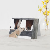 Bob Langrish | Dog Licking Horses Nose Karte (Gelbe Blume)