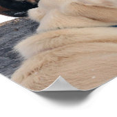 Bob Langrish | Dog Licking Horses Nose Poster (Ecke)