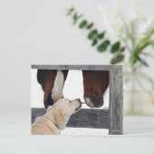 Bob Langrish | Dog Licking Horses Nose Postkarte (Stehend Vorderseite)