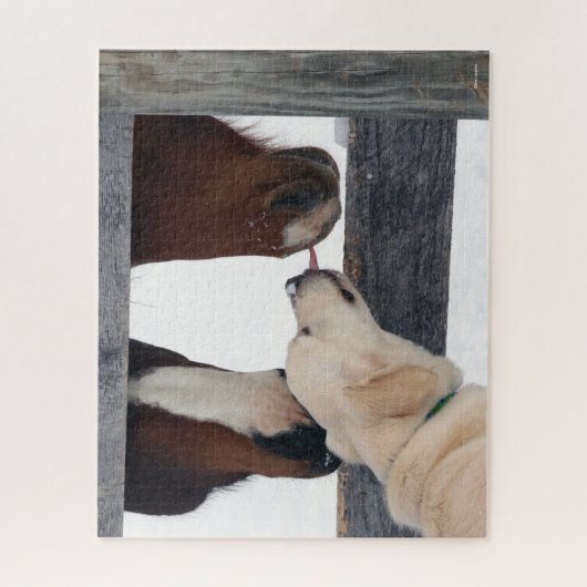 Bob Langrish | Dog Licking Horses Nose Puzzle (Vertikal)